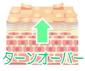 ターンオーバー